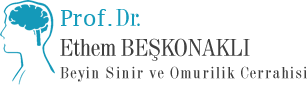 Prof. Dr. Ethem Beşkonaklı